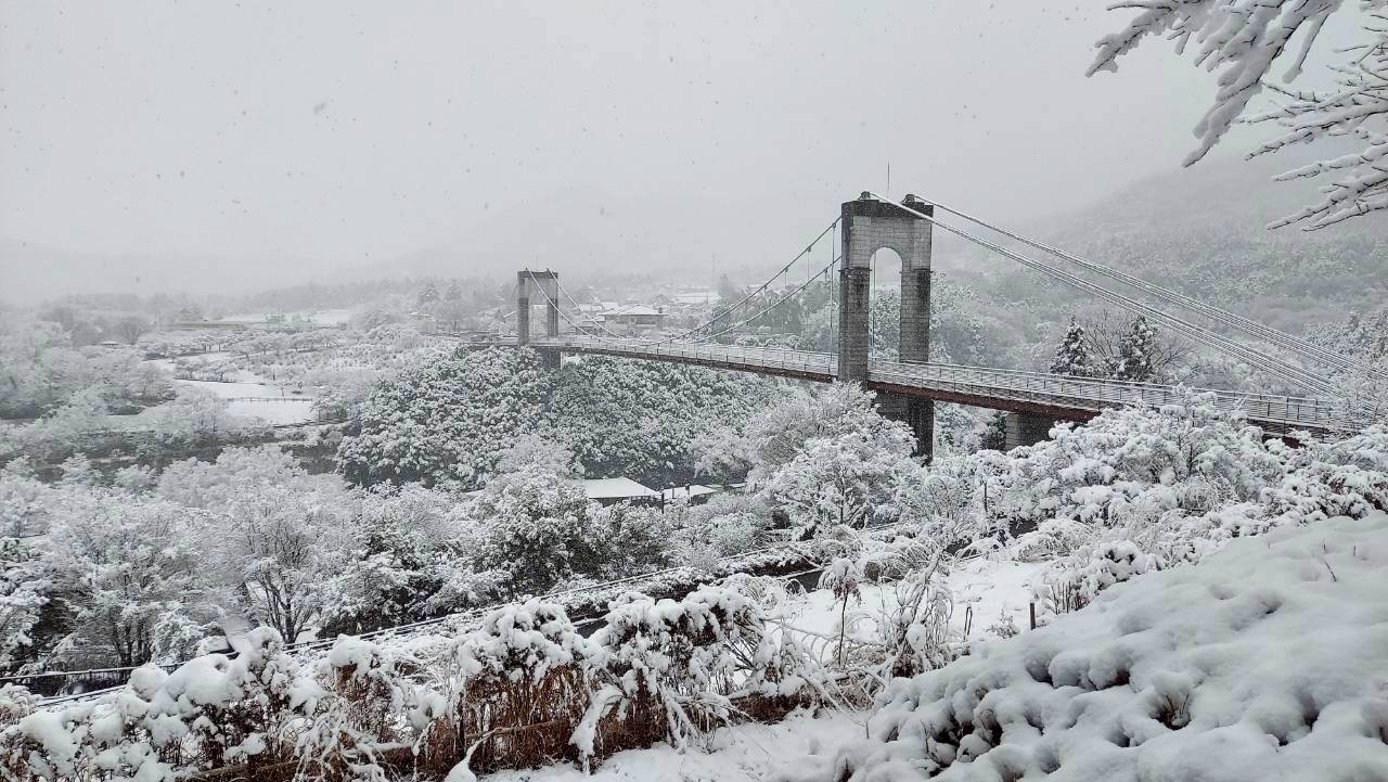 gazou1.jpg gazou1.jpg